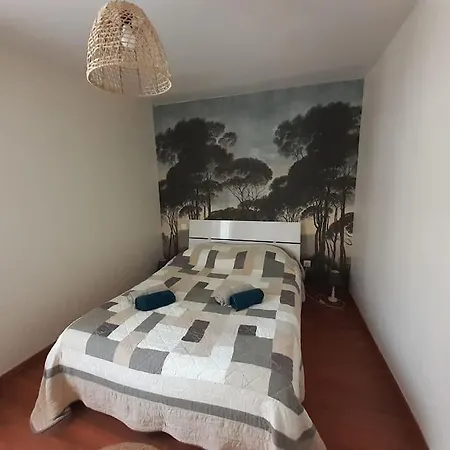 Maison Chaleureuse Pres De Lagrasse Corbieres Holiday home *